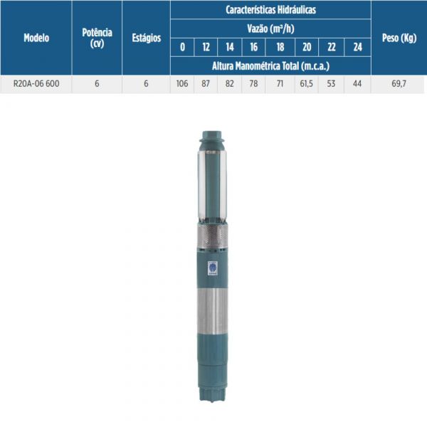 Motobomba 6CV 380V Trifásico R20A-06 600 38TR Leão