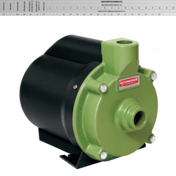 Motobomba BCR-2000 1/3CV 220V Schneider