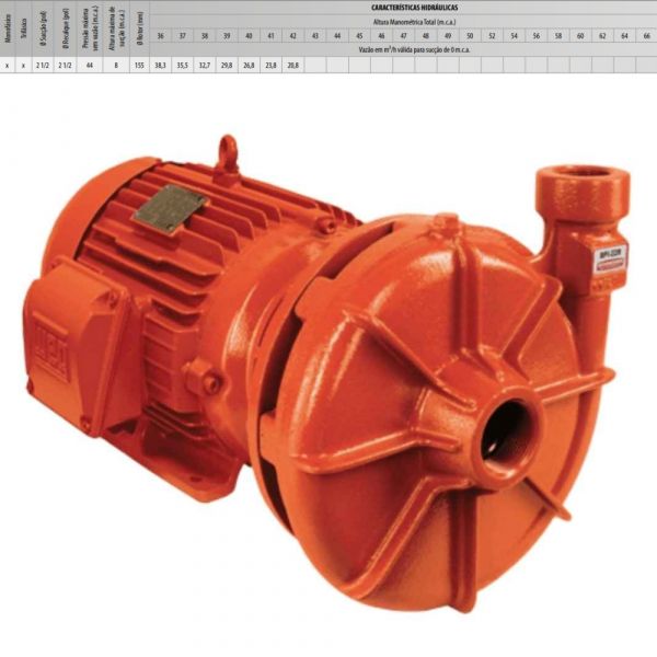 Motobomba BPI-22R 2 1/2 7,5cv Monofásico Schneider