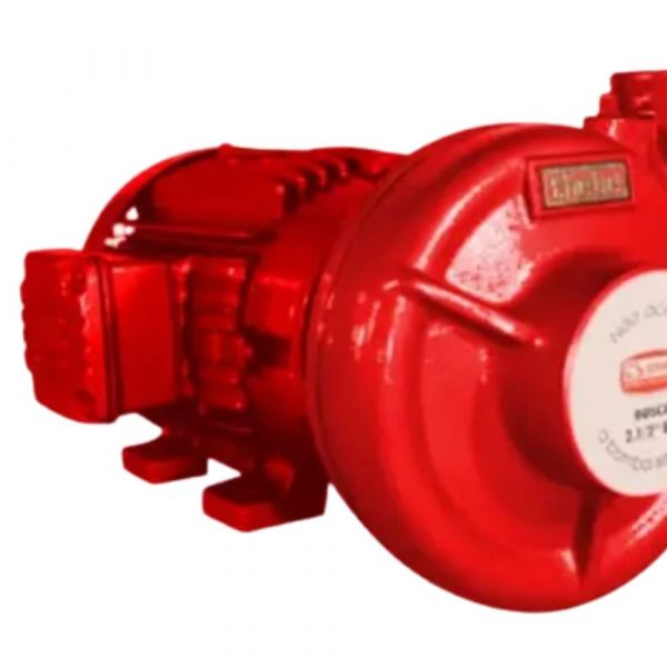 Motobomba de Incêndio Monofásica THSI-18 7,5cv 220/440V RT.163 Thebe