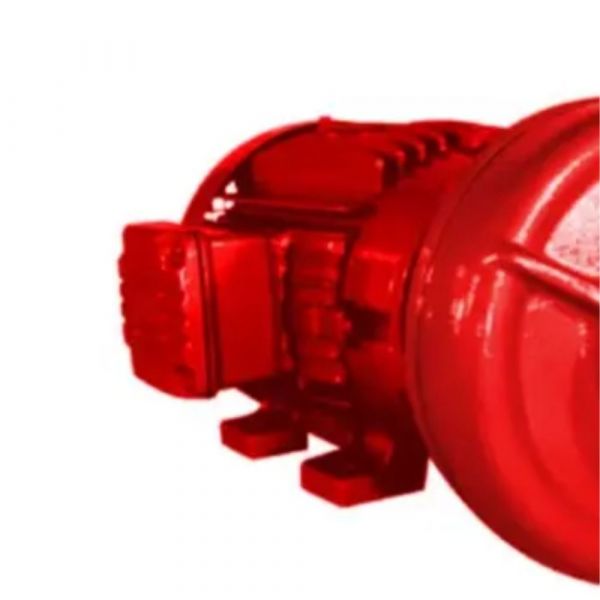 Motobomba de Incêndio Monofásica THSI-18 7,5cv 220/440V RT.163 Thebe