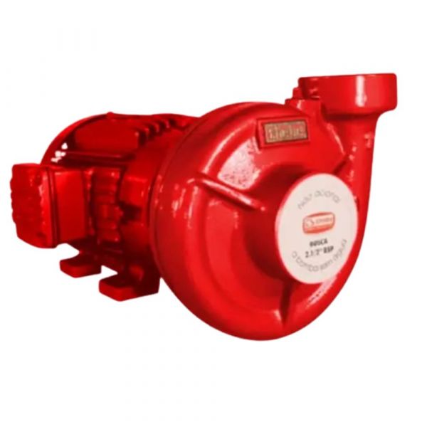 Motobomba de Incêndio Monofásica THSI-18 7,5cv 220/440V RT.163 Thebe