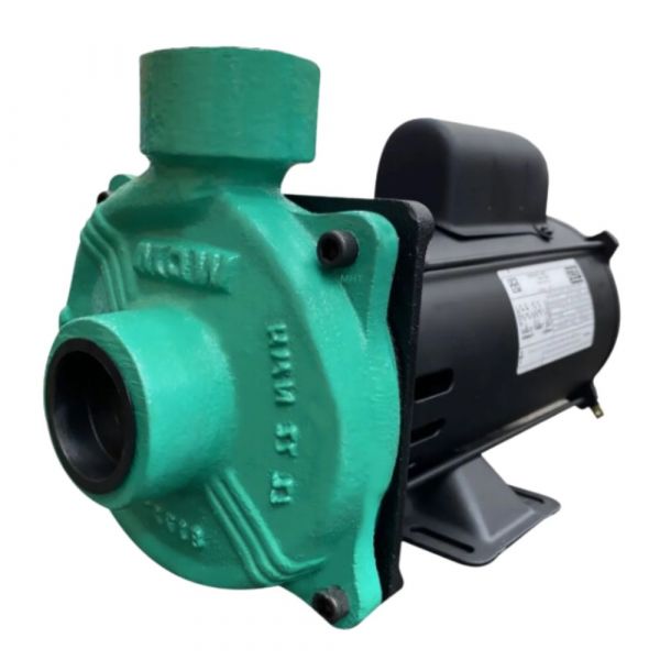 Motobomba Centrífuga EE 1.5 2,0cv 127/220V-254V Monofásica WDM