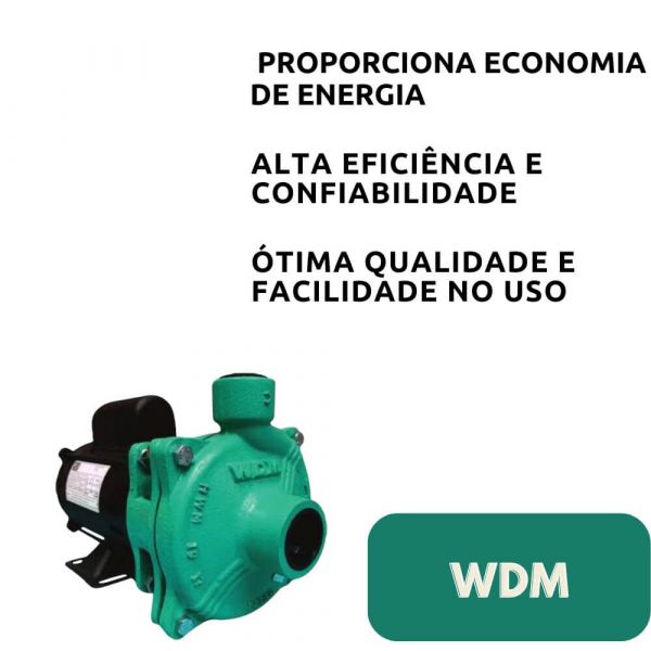 Motobomba EE 1.5 2,0cv 127/220V-254V Monofásica WDM