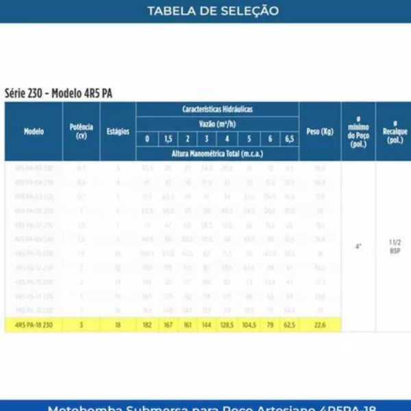 Motobomba Monofásico 3CV 230V 4R5PA-18 Com Box Leão