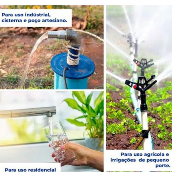 Motobomba Monofásico 3CV 230V 4R5PA-18 Com Box Leão