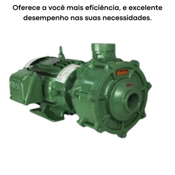 Motobomba Multiestágio P-15/2 K 4,0CV 220V/380V Trifásica 4V AL Thebe