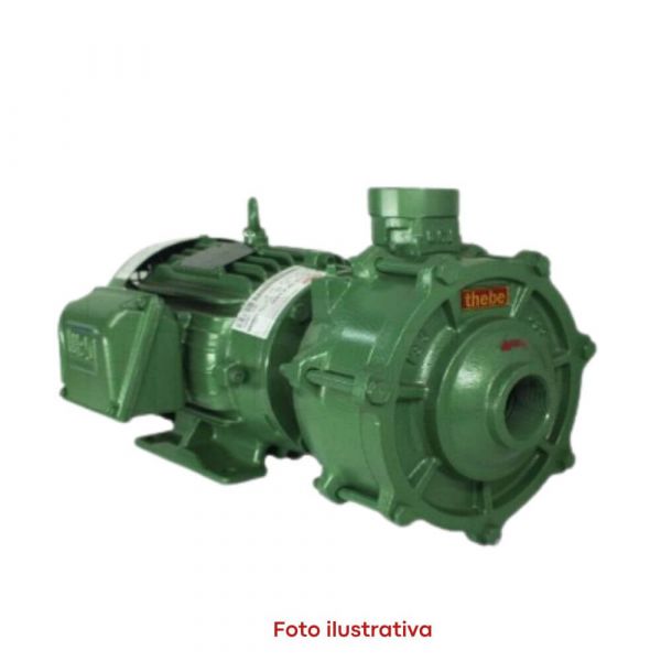 Motobomba Multiestágio P-15/2 K 4,0CV 220V/380V Trifásica 4V AL Thebe