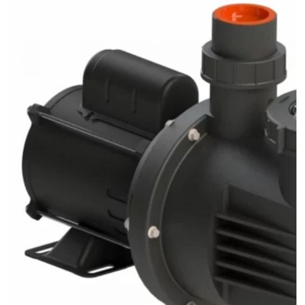 Motobomba Pratika PF-17W 2,0CV 127/220V Dancor