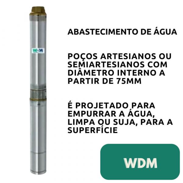 Motobomba Submersa SPE 315-1-22 1,5CV 220V 2 Fios WDM