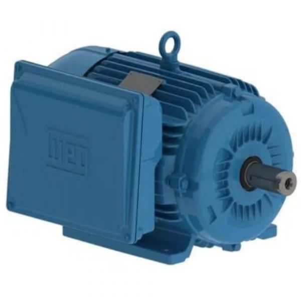 Motor Monofásico 10CV 2 Polos Fechado 220V IP55 Rural WEG  