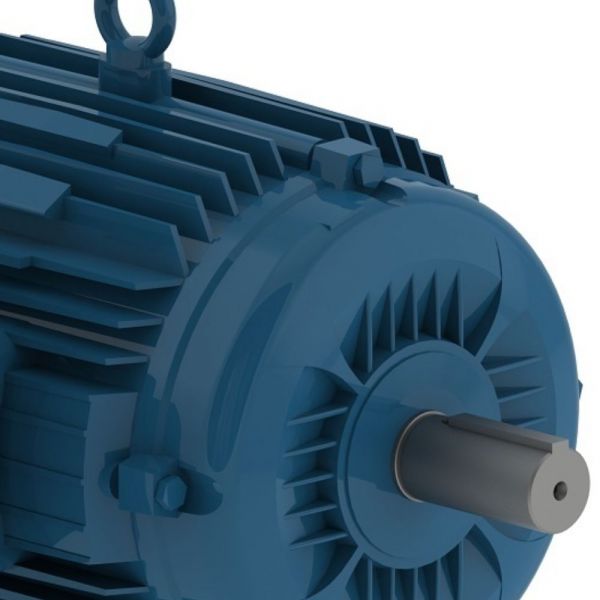 Motor Trifásico 2CV IP55 4 Polos Fechado Weg