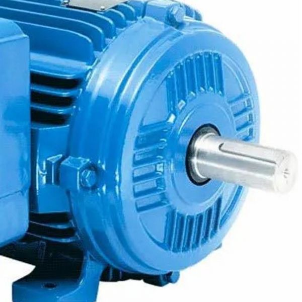 Motor Monofásico 12,5CV 2 Polos Fechado 220V IP55 Rural Weg