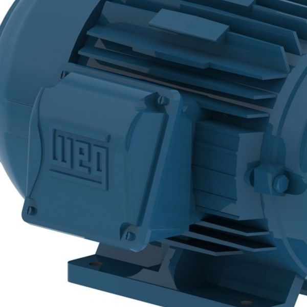 Motor Monofásico 5CV 4 Polos Fechado 220V IP55 Weg