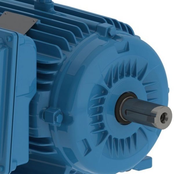 Motor Monofásico 7,5CV 2 Polos Fechado 220V IP55 Weg