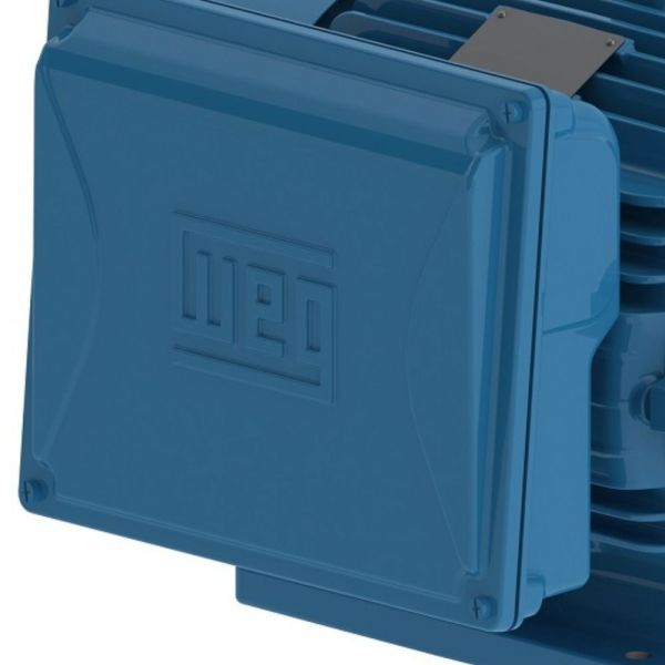 Motor Monofásico 7,5CV 2 Polos Fechado 220V IP55 Weg