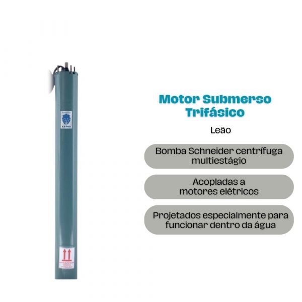 Motor Motobomba 8,0cv 380V Trifásica 450/008/38TR Leão