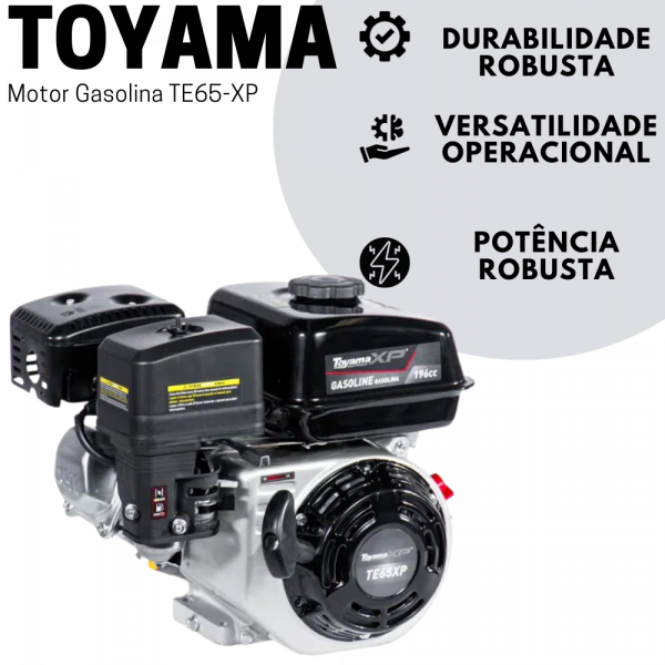 Motor Gasolina TE65-XP Toyama