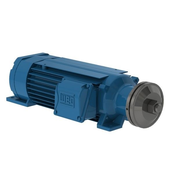 Motor Trifásica 3CV 2 Polos Aberto Para Serra Circular IP21 Weg