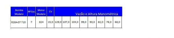 Bombeador 15cv R28A-07 Leão
