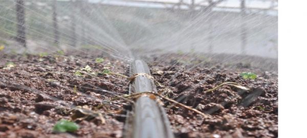 1 Metro Mangueira Nortenei II 100/15 Para Irrigação Santeno 