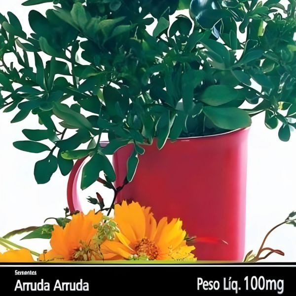 Semente de Ervas de Arrudas 100Mg Feltrin