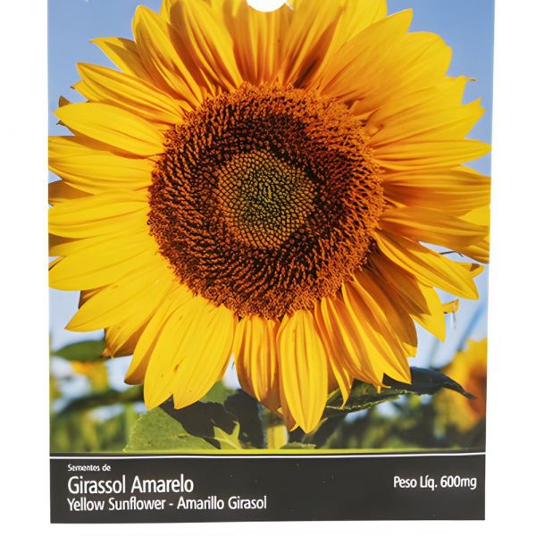Semente de Girassol Amarelo 600Mg Feltrin