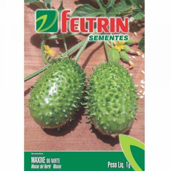 Semente de Hortaliça Maxixe do Norte 1G Feltrin