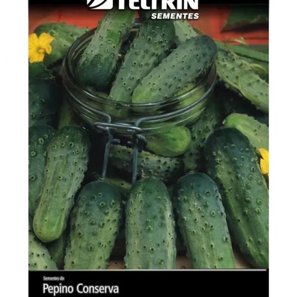 Semente Pepino Conserva Wisconsin Feltrin 