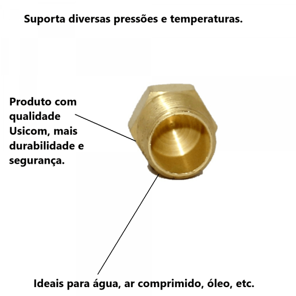 Tampão Plug Sextavado 3/8