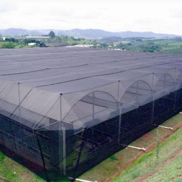 1 Metro Tela Sombreamento Roma 50% Rolo 1,5m Roma