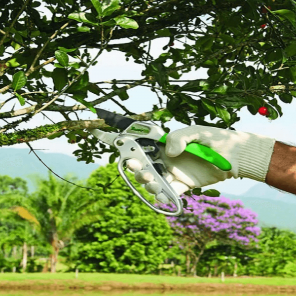 Tesoura para Poda com Catraca TS-3130 Trapp