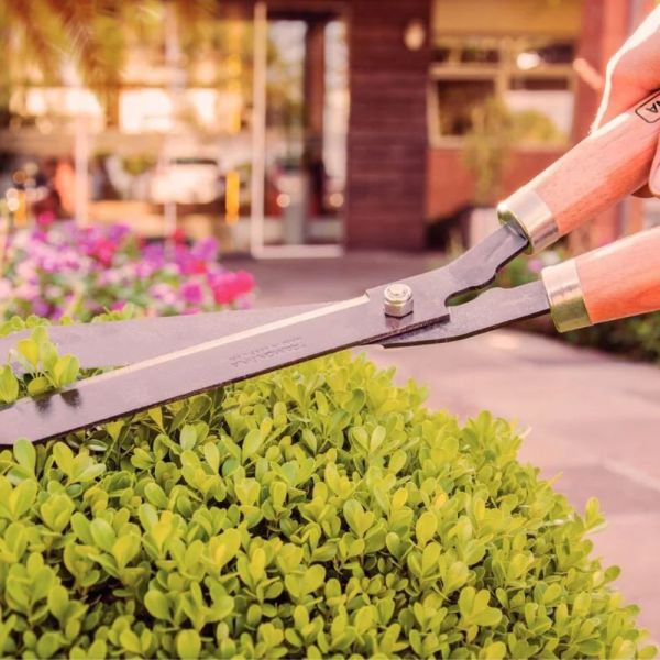 Tesoura para Cerca Viva 12