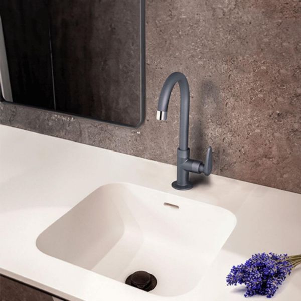 Torneira de Mesa com Bica Móvel Cinza Fosco Allure Décore Viqua 
