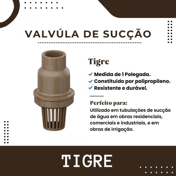 Válvula De Pé Com Crivo Roscável 1” Tigre