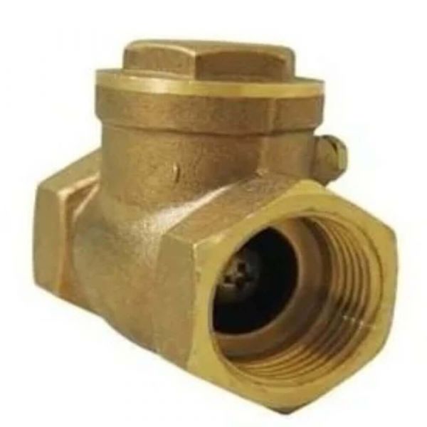 Válvula De Retenção Horizontal Com Portinhola 1.1/2