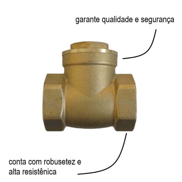 Válvula De Retenção Horizontal Com Portinhola 4
