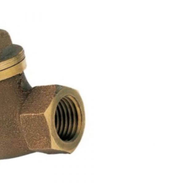 Válvula de Retenção Horizontal 1” Docol