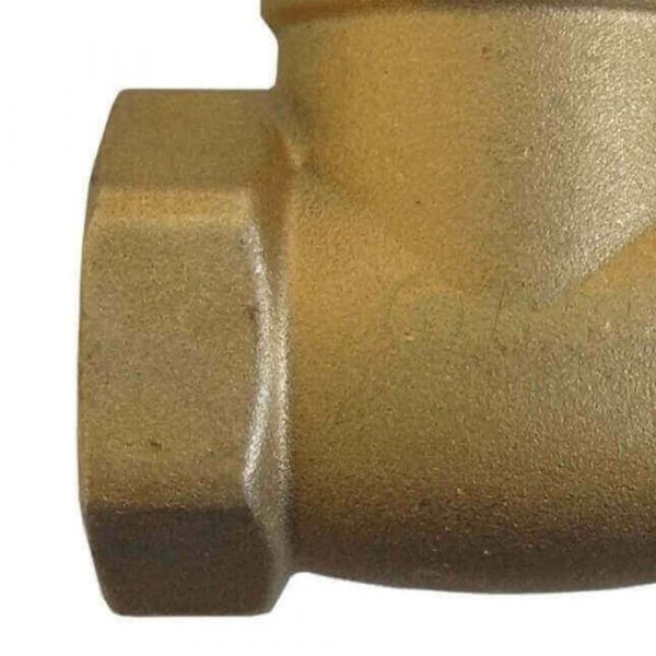 Válvula De Retenção Horizontal 2.1/2” Dulong