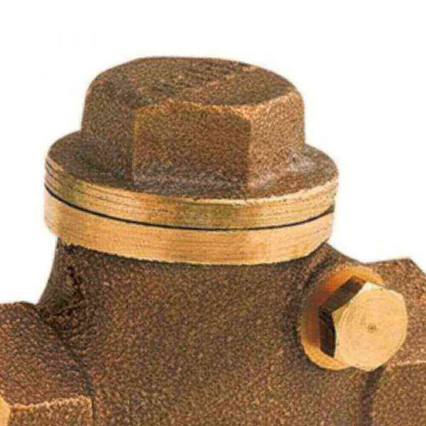 Válvula De Retenção Horizontal 3/4” DN20 Dulong