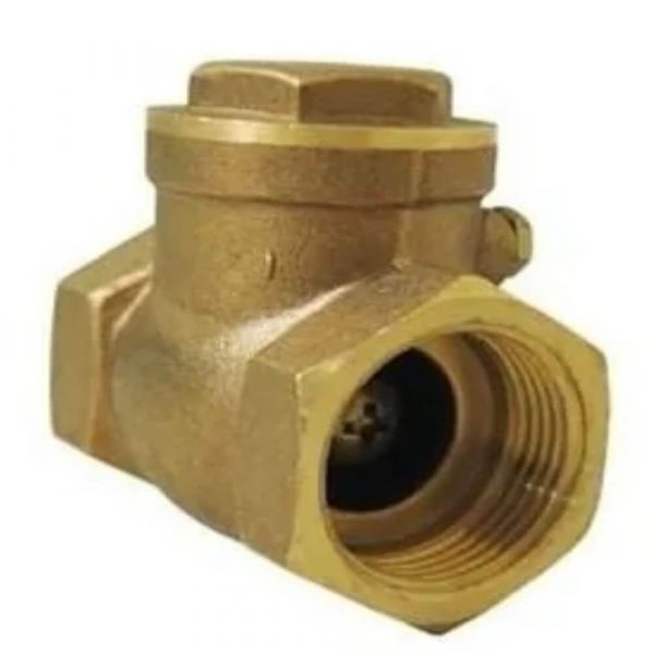 Válvula De Retenção Horizontal 3” DN80 Dulong