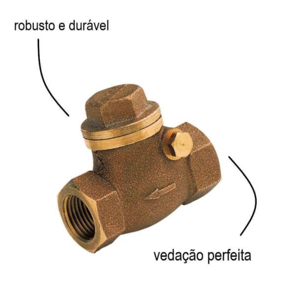 Válvula De Retenção Horizontal 3” DN80 Dulong