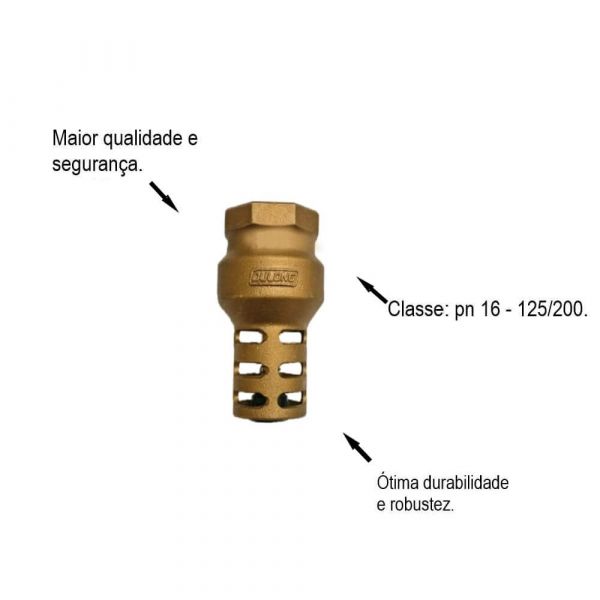 Válvula De Sucção 3” Dn80 Dulong
