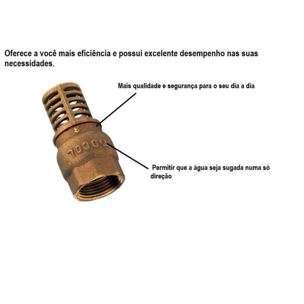 Válvula De Sucção 2” Docol 
