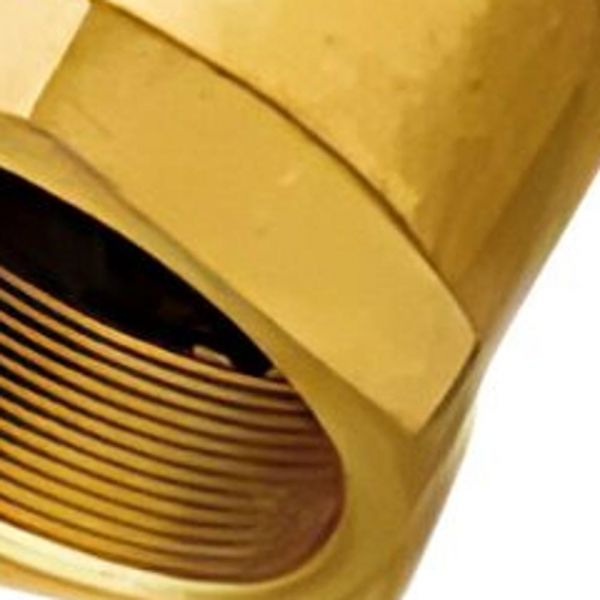 Válvula De Retenção Vertical 1” DN25 Dulong