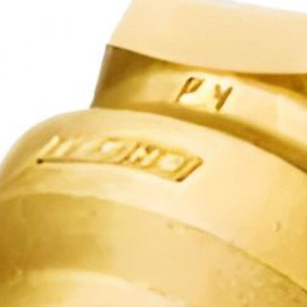 Válvula De Retenção Vertical 1” DN25 Dulong