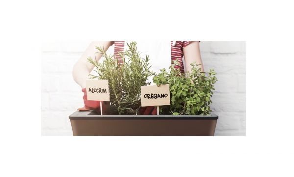 Vaso Autoirrigável em Polipropileno Café 6 L- Tramontina